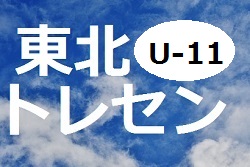 秋田小学生 ジュニアサッカーnews