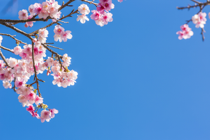 18年度 サッカーカレンダー 沖縄 年間スケジュール一覧 ジュニアサッカーnews