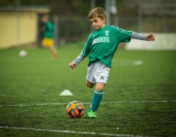 17静岡県u 11トレセンサッカー大会 優勝は清水トレセン ジュニアサッカーnews