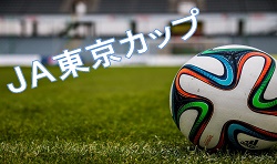 17年度 Ja東京カップ第29回東京都5年生サッカー大会 第12ブロック予選 優勝はarte八王子fcジュニア ジュニアサッカーnews