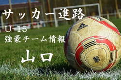 U 15強豪チーム紹介 静岡県 ジュビロss掛川 ジュニアサッカーnews