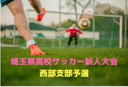 2017年度埼玉県高校サッカー新人大会　西部支部予選　優勝は聖望学園！