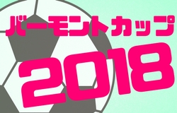 強豪高校サッカー部 市立明石商業高校 兵庫県 ジュニアサッカーnews 強豪高校サッカー部 市立明石商業高校 兵庫県 ジュニアサッカーnews