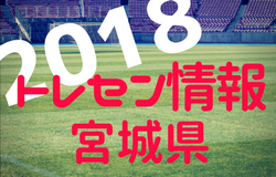 宮城中学生 ジュニアサッカーnews 宮城中学生 ジュニアサッカーnews