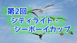 2018年度 第67回四国高等学校サッカー選手権大会（男子）優勝は高松商業高校！