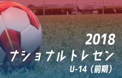 新入生必見 高校サッカー ルーキーリーグ他大会まとめ 知っておきたいルール 卒業後のサッカー進路特集 ジュニアサッカーnews