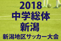18年度 第49回新潟県中学校総合体育大会新潟地区予選会 サッカー大会 優勝は山の下中 ジュニアサッカーnews