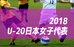 U 日本女子代表 女子ワールドカップフランス18メンバー スケジュール 8 5 24 発表 追加選手あり ジュニアサッカーnews U 日本女子代表 女子ワールドカップフランス18メンバー スケジュール 8 5 24 発表 追加選手あり ジュニアサッカーnews