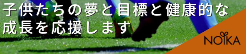 株式会社ノイカ