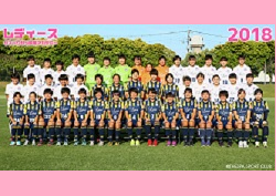 奈良県の強豪チーム・学校情報（4種～2種）