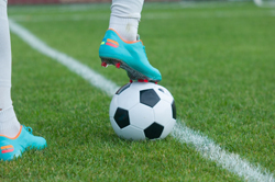 18年度第11回 東京国際大学サッカーフェスティバル Aグループ1位は浦和学院 ジュニアサッカーnews 18年度第11回 東京国際大学サッカーフェスティバル Aグループ1位は浦和学院 ジュニアサッカーnews
