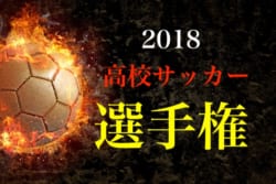 18年度 第97回全国高校サッカー選手権 山形県大会 最終結果 羽黒高校が２連覇 全国大会出場決定 ジュニアサッカーnews