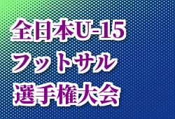 高円宮杯サッカーリーグ U 15 のしくみ完全理解 あなたのチームは今どこにいますか ジュニアサッカーnews