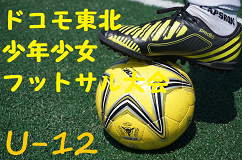19年度 Jefa Fc ジェファfc U 15ジュニアユース 東京都 セレクション10 8 15 17 開催 ジュニアサッカーnews