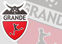 19年度 Grande Fc グランデfc 埼玉県 U 15 セレクション 9 11他開催 ジュニアサッカーnews