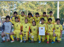 18年度 第37回大阪少女サッカー大会 関西大会出場7チーム決定 ジュニアサッカーnews