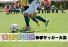 2020年度 しんきんカップ第35回静岡県キッズU-10サッカー大会 東部予選 県大会出場チーム決定！