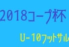 2018年度 第97回全国高校サッカー選手権大会 静岡県大会 優勝は浜松開誠館！