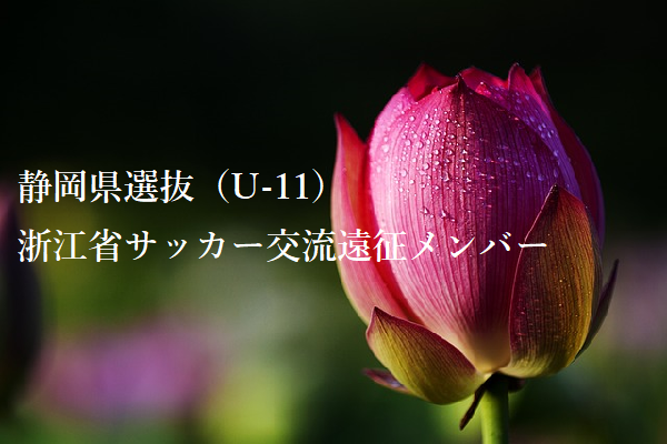 静岡少年サッカー応援団 みんなのnews 静岡県選抜 U 11 浙江省サッカー交流遠征メンバー 19年3月渡航予定