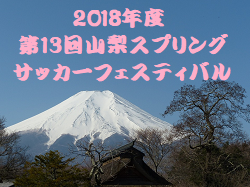 2018年度 第13回山梨スプリングサッカーフェスティバル 優勝は3連覇!横浜F・マリノスジュニアユース!