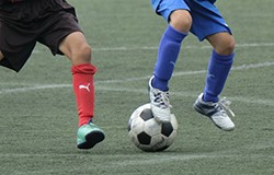 優勝は友愛SC エコ・システム杯争奪 秦野市少年サッカー大会 | 2019年度 第5回 エコ・システム杯争奪 秦野市少年サッカー大会 神奈川