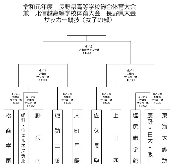 19年度 長野県高校総合体育大会女子大会 インターハイ 優勝は松商学園 ジュニアサッカーnews