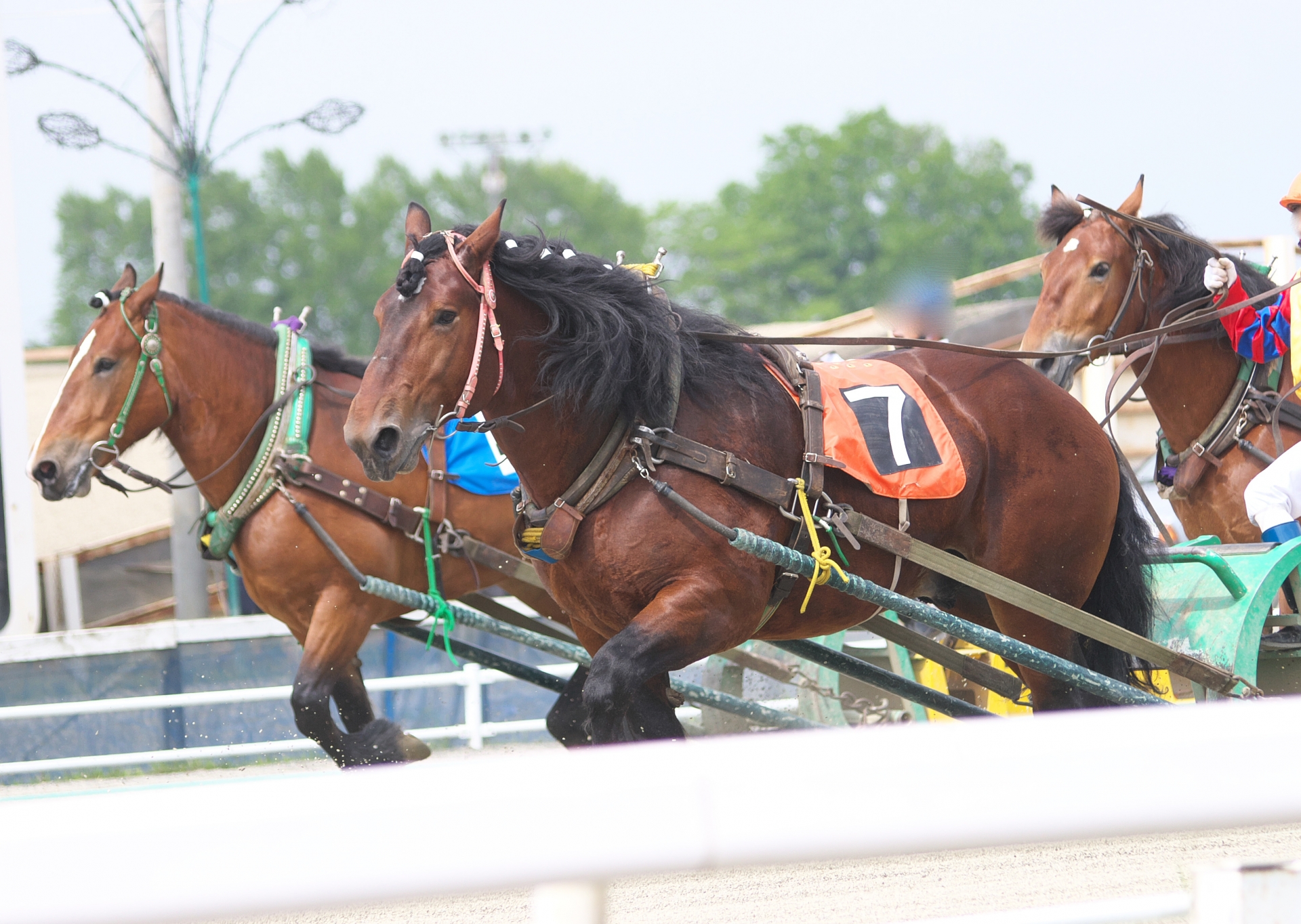 クラブユース選手権開催地 北海道十勝へ応援に行きたくなる 会場近郊の観光特集 ジュニアサッカーnews