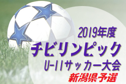新潟県U-11サッカー大会 兼 チビリンピック 新潟県予選 10/12,13 | 2019年度 第27回新潟県U-11サッカー大会 兼 JA全農杯チビリンピック小学生8人制サッカー北信越大会 新潟県予選