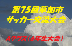 2019年度 第75回草加市サッカー交流大会 Aクラス(6年生大会)優勝は両新田FC!埼玉