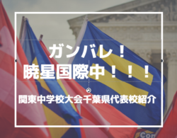 がんばれ暁星国際中 関東中学校大会千葉県代表 暁星国際中学校サッカー部紹介 ジュニアサッカーnews がんばれ暁星国際中 関東中学校大会千葉県代表 暁星国際中学校サッカー部紹介 ジュニアサッカーnews