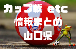 2021年度 山口県のカップ戦・小さな大会情報まとめ1月～3月【随時更新】1/9釜本杯争奪豊北新春サッカーフェスティバル掲載！