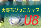 2019年度 東尾張ユース U-14 サッカー選手権大会 (愛知) 優勝はひかりFC！
