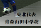 高円宮杯JFA U-18サッカープレミアリーグ2019EAST/WEST　ファイナル優勝は青森山田高校！