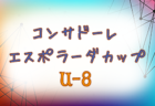 2019年度 サッカーカレンダー【奈良県】年間スケジュール一覧