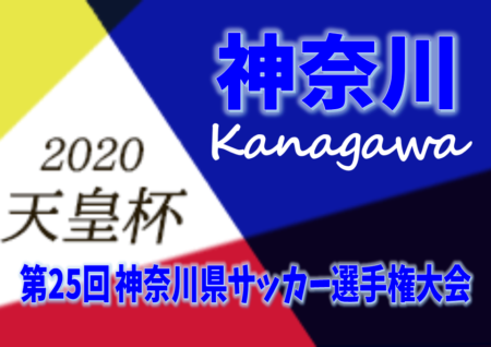 決勝戦動画配信されています 年度 第25回神奈川県サッカー選手権 第100回天皇杯 神奈川県代表決定戦 桐蔭横浜大学が桐蔭ダービーを制して優勝 ジュニアサッカーnews