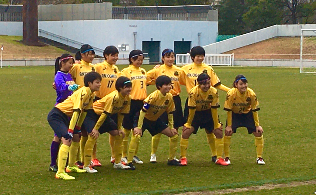 愛知少年サッカー応援団 みんなのnews 速報 優勝は安城学園 愛知県 高校新人体育大会 女子サッカー競技 2 15結果掲載