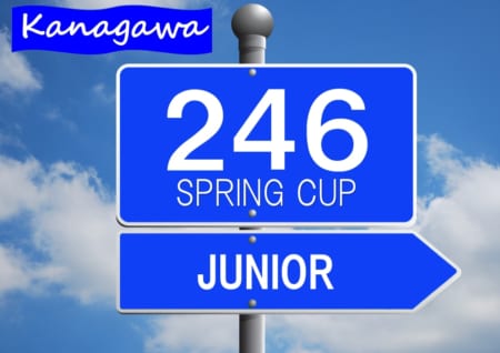 【大会中止】2020年 第35回246スプリングカップサッカー大会 (神奈川県) ジュニアの部 3/7開幕！