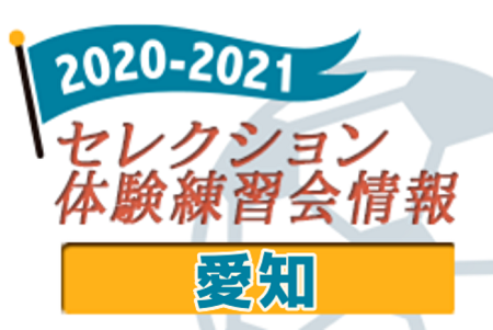 21 愛知県 セレクション 体験練習会 募集情報まとめ ジュニアサッカーnews