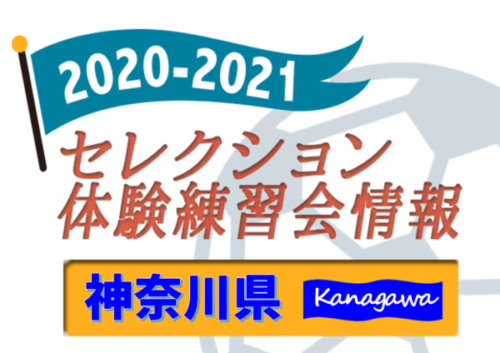 21 神奈川県 セレクション 体験練習会 募集情報まとめ ジュニアサッカーnews