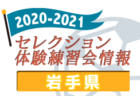 2020-2021【新潟県】セレクション・体験練習会 募集情報まとめ