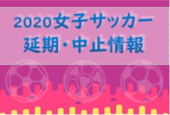 プレナスなでしこリーグ チャレンジリーグの開幕日程が決定 女子サッカー延期 変更or中止情報まとめ ジュニアサッカーnews