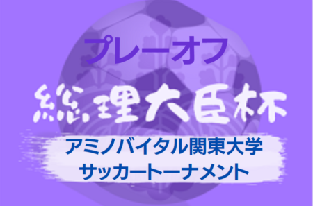 アミノバイタル カップ 第8回関東大学サッカートーナメント大会 プレーオフ 作新 上武 東海など本選出場8校決定 ジュニアサッカーnews