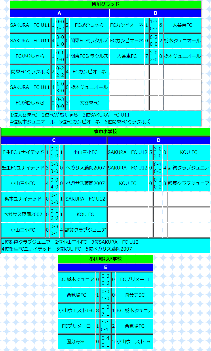 年度 U 12地域リーグ In 下都賀 栃木県 11 1 3全結果掲載 ジュニアサッカーnews