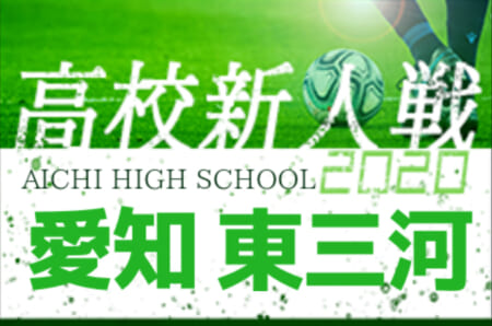 【2/7まで中止・開催未定】2020年度 愛知県高校新人体育大会 サッカー競技 新人戦  東三河支部予選 1,2回戦全結果掲載！決定戦進出6チーム決定！