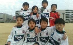 シャークエナジードリンク1箱購入でシャーク大阪活動1ヶ月無料実技体験!