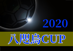 年度 八咫烏cup U 12 高知県 優勝はfcトリアネーロ町田 12 6結果掲載 ジュニアサッカーnews 年度 八咫烏cup U 12 高知県 優勝はfcトリアネーロ町田 12 6結果掲載 ジュニアサッカーnews
