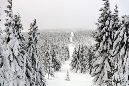 北信越地区の今週末のサッカー大会・イベントまとめ【1月16日(土)、1月17日(日)】