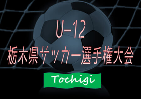 2020年度 U-12栃木県少年サッカー選手権大会（旧 選手権の部）166チーム出場!! 一次リーグ組合せ掲載＆リーグ戦表作成！2/7～23開催予定！全組合せ情報ありがとうございます！