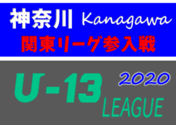 年度 神奈川県 U 13 サッカーリーグ 関東リーグ参入戦 優勝は横須賀シーガルズ 関東リーグ昇格 ジュニアサッカーnews 年度 神奈川県 U 13 サッカーリーグ 関東リーグ参入戦 優勝は横須賀シーガルズ 関東リーグ昇格 ジュニアサッカーnews
