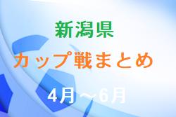新潟県のカップ戦・小さな大会情報まとめ4月～6月開催【随時更新】U-12青山サッカーフェス5/3.4結果情報おまちしています！